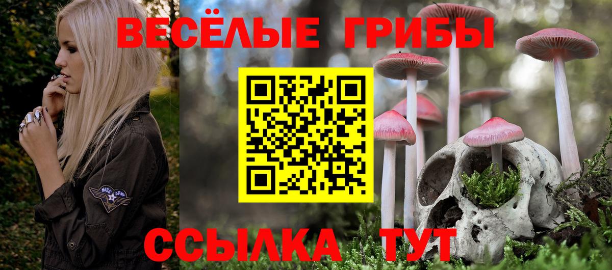 Псилоцибиновые грибы Psilocybine cubensis Мариинск
