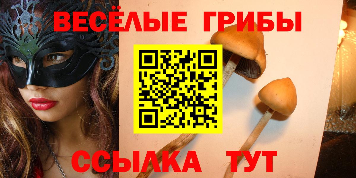 Галлюциногенные грибы GOLDEN TEACHER  Псилоцибиновые грибы мухоморы  Мариинск  Вход с VPN 